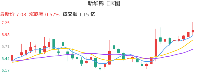 整体分析-日K图：新华锦股票整体分析报告