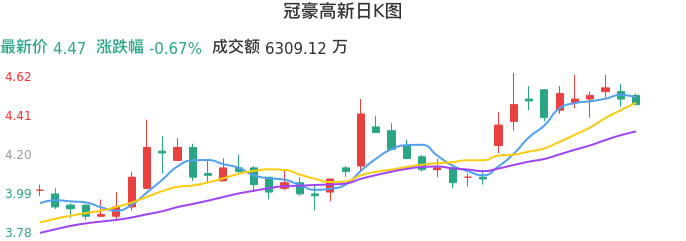 整体分析-日K图：冠豪高新股票整体分析报告