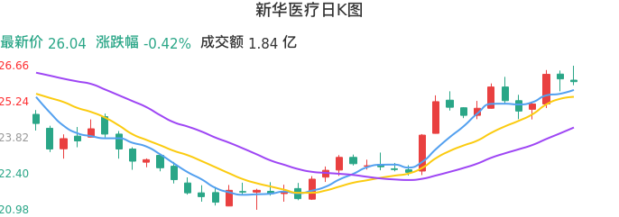 整体分析-日K图：新华医疗股票整体分析报告