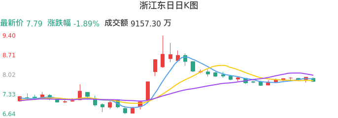 整体分析-日K图：浙江东日股票整体分析报告