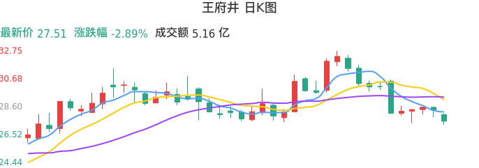 整体分析-日K图：王府井股票整体分析报告