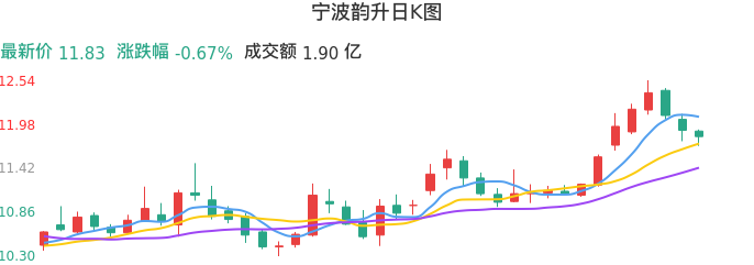 整体分析-日K图：宁波韵升股票整体分析报告