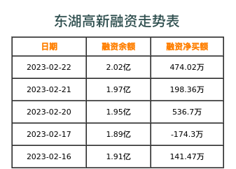 东湖高新融资表