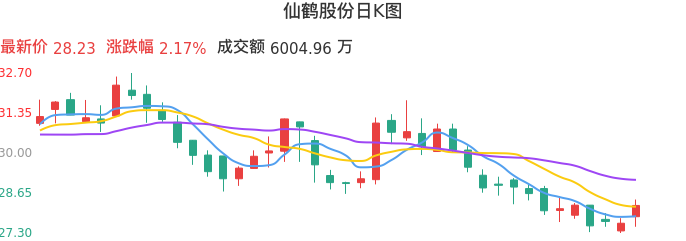 整体分析-日K图：仙鹤股份股票整体分析报告