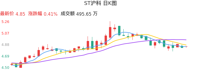 整体分析-日K图：ST沪科股票整体分析报告