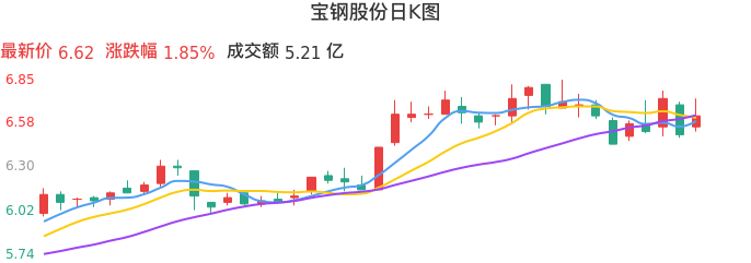 整体分析-日K图：宝钢股份股票整体分析报告