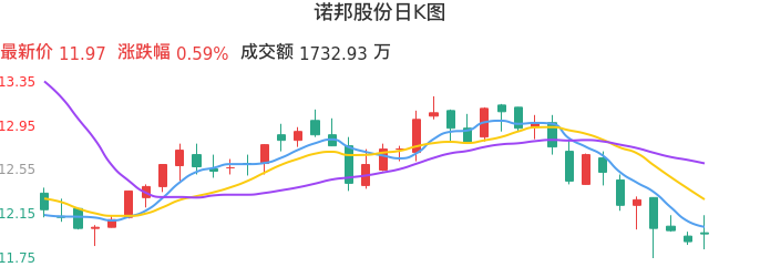 整体分析-日K图：诺邦股份股票整体分析报告