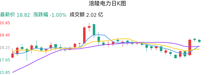 整体分析-日K图：涪陵电力股票整体分析报告