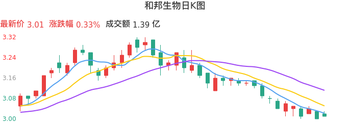 整体分析-日K图：和邦生物股票整体分析报告