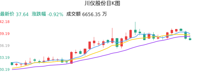 整体分析-日K图：川仪股份股票整体分析报告