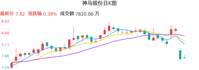 整体分析-日K图：神马股份股票整体分析报告