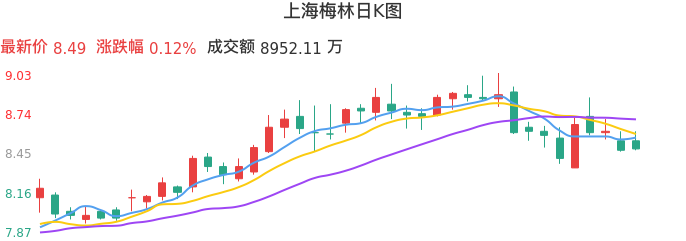 整体分析-日K图：上海梅林股票整体分析报告