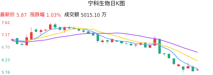 整体分析-日K图：宁科生物股票整体分析报告