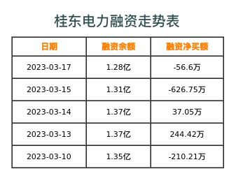 桂东电力融资表