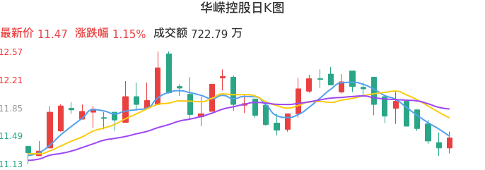 整体分析-日K图：华嵘控股股票整体分析报告