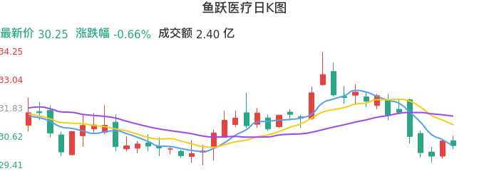 整体分析-日K图：鱼跃医疗股票整体分析报告