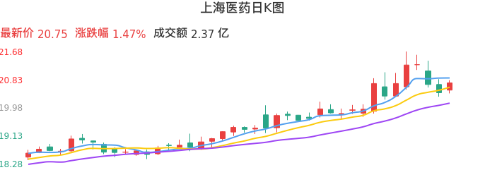 整体分析-日K图：上海医药股票整体分析报告