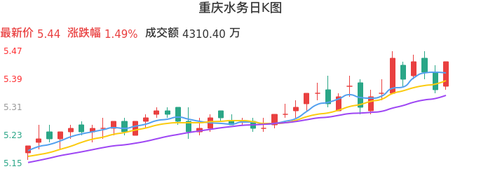 整体分析-日K图：重庆水务股票整体分析报告