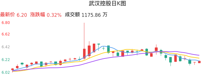 整体分析-日K图：武汉控股股票整体分析报告