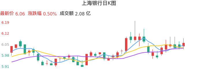 整体分析-日K图：上海银行股票整体分析报告