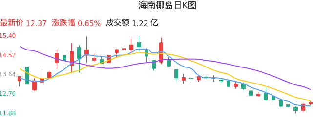 整体分析-日K图：海南椰岛股票整体分析报告