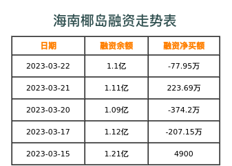 海南椰岛融资表