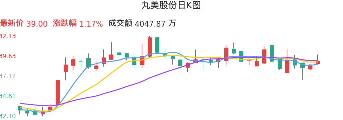 整体分析-日K图:丸美股份股票整体分析报告