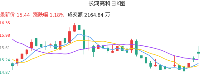 整体分析-日K图：长鸿高科股票整体分析报告