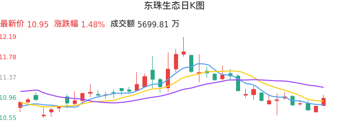整体分析-日K图：东珠生态股票整体分析报告