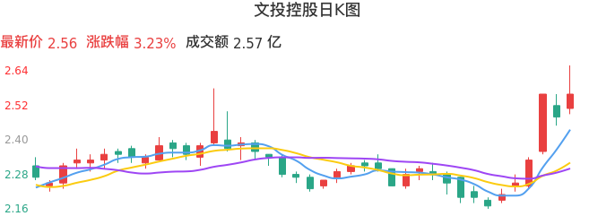 整体分析-日K图：文投控股股票整体分析报告