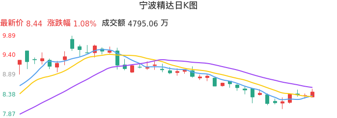 整体分析-日K图：宁波精达股票整体分析报告