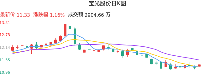 整体分析-日K图：宝光股份股票整体分析报告