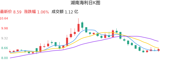 整体分析-日K图：湖南海利股票整体分析报告