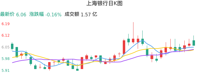 整体分析-日K图：上海银行股票整体分析报告