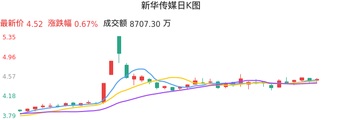 整体分析-日K图：新华传媒股票整体分析报告