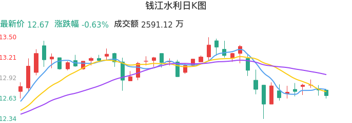 整体分析-日K图：钱江水利股票整体分析报告
