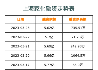 上海家化融资表