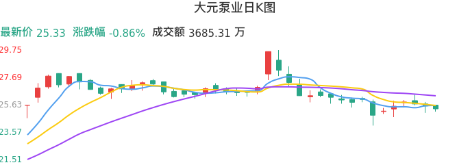 整体分析-日K图：大元泵业股票整体分析报告