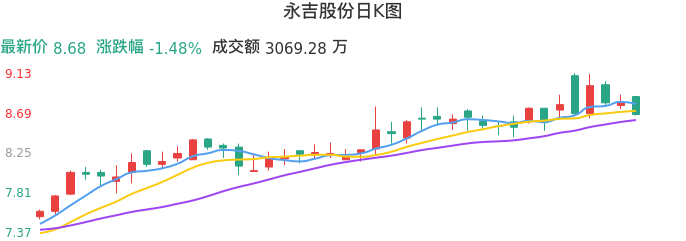 整体分析-日K图：永吉股份股票整体分析报告