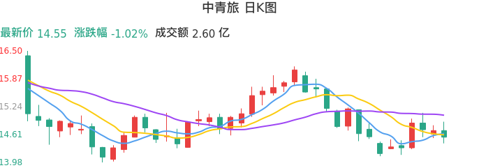 整体分析-日K图：中青旅股票整体分析报告