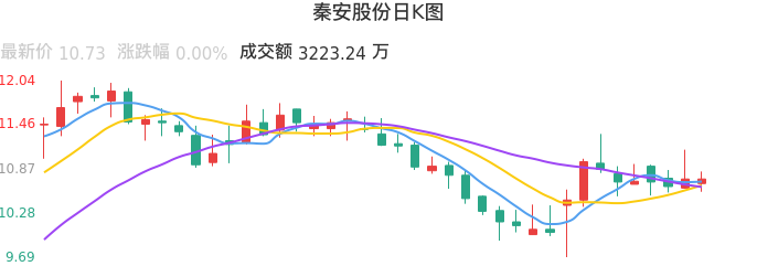 整体分析-日K图：秦安股份股票整体分析报告