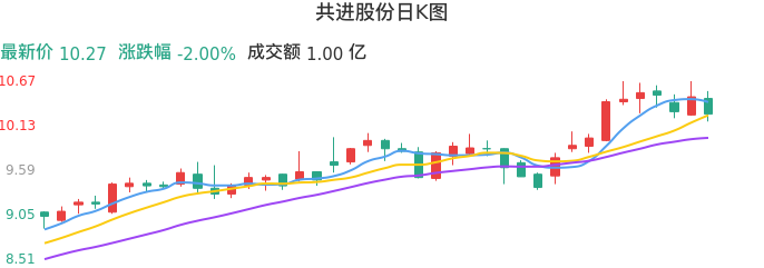 整体分析-日K图：共进股份股票整体分析报告