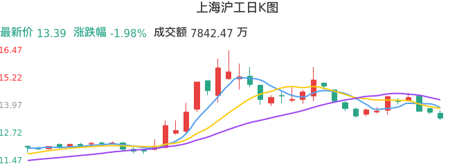 整体分析-日K图：上海沪工股票整体分析报告