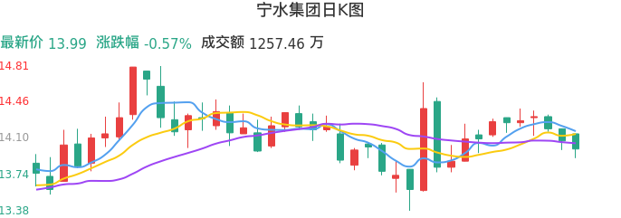 整体分析-日K图:宁水集团股票整体分析报告