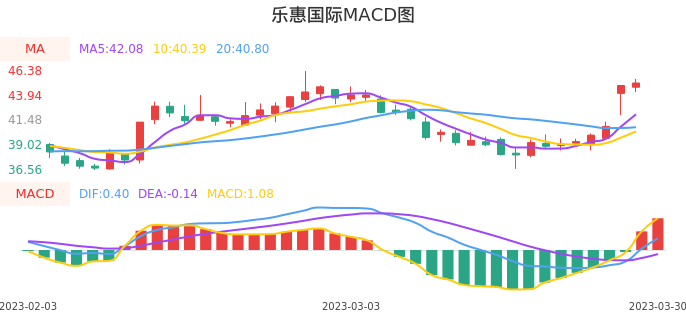 技术面-筹码分布、MACD图：乐惠国际股票技术面分析报告