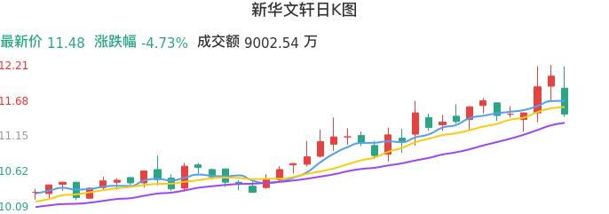 整体分析-日K图：新华文轩股票整体分析报告