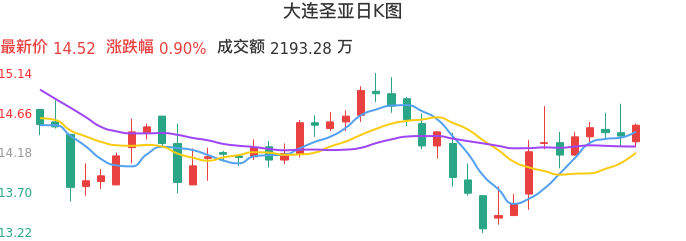 整体分析-日K图:大连圣亚股票整体分析报告