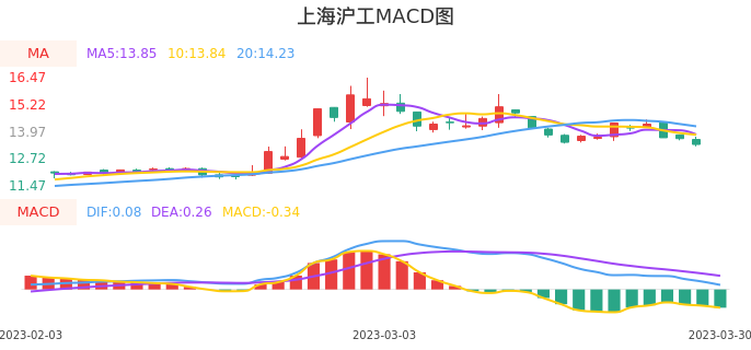 技术面-筹码分布、MACD图：上海沪工股票技术面分析报告