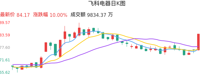 整体分析-日K图：飞科电器股票整体分析报告