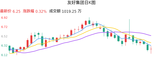 整体分析-日K图：友好集团股票整体分析报告